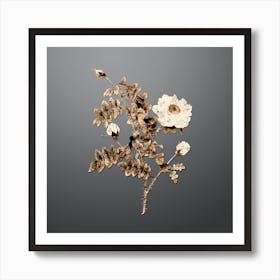 Gold Botanical White Burnet Roses on Soft Gray n.2927 Art Print
