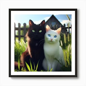 Black And White Cats Art Print