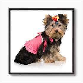 Dog In Pink Dress Art Print