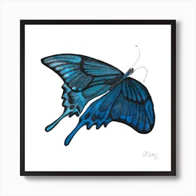 Blue Butterfly. 1 Art Print