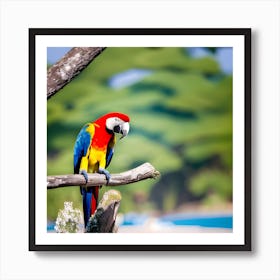 Colorful Parrot 1 Art Print