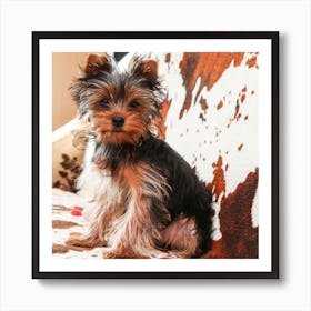 Yorkshire Terrier 1 Art Print