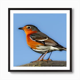 Robin 5 Art Print