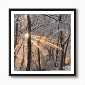 Beautiful Snowy Forest Wimter scene Art Print