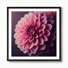 Large pink Dahlia flower 4 Art Print