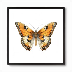 Butterfly 21 Art Print