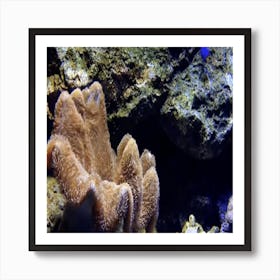 Real Views From The Depth Of The Sea 4 Art Print