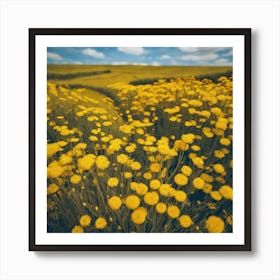 Yellow Flowers In A Field 12 Art Print