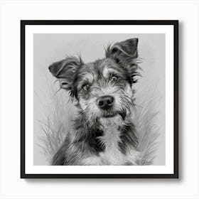 Black And White Drawing Of A Dog Art Print