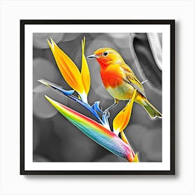 Bird Of Paradise Art Print