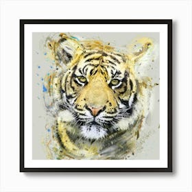 Tiger Art Print