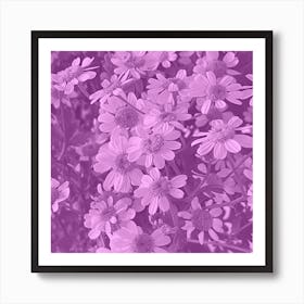 Amethyst Daisy Art Print