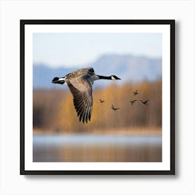 Canadian Goose Soaring Above A Lake With Leaves Occupying The Golden Hues Of Autumn Reflection Mirr Art Print