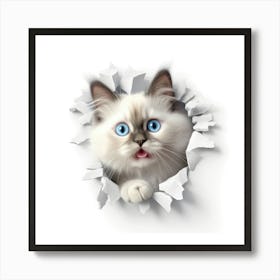 Ragdoll Peeking Through A Hole 1 Art Print