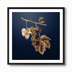 Gold Botanical Grape Colorino on Midnight Navy n.2668 Art Print