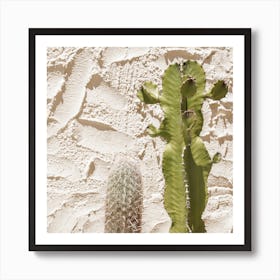 Cactus Plants Square Art Print