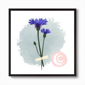 Cornflower (Water Flower) Art Print