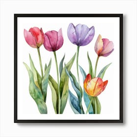 Watercolor Tulips 2 Art Print