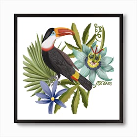 Tucan And Passionflower Square Art Print