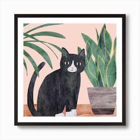 Black Cat And Green Plants Square Art Print