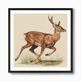 Deer Venison White Tail Deer Antlers Animal Wildlife Game Hunting Nature Art Print