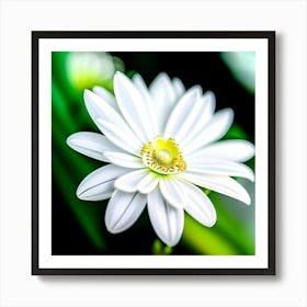 White flower fresh  Art Print