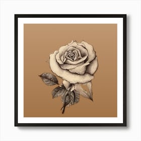 Rose flower scatch Art Print