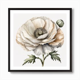 Large white poppy flower 5 Art Print