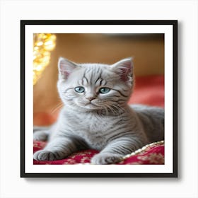 British Shorthair Kitten 2 Art Print