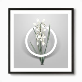 Vintage Yellow Banded Iris Minimalist Floral Geometric Circle on Soft Gray n.0506 Art Print