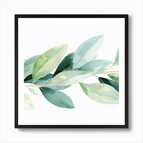 Green Olive Branch Art Print