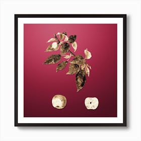 Gold Botanical Apple on Viva Magenta n.4265 Art Print