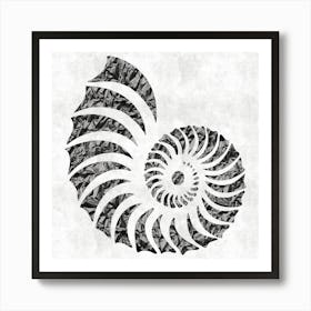 Nautilus Shell Art Print