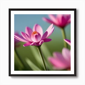 Pink Lotus Flower Art Print