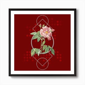 Vintage French Rosebush with Variegated Flowers Botanical with Geometric Line Motif and Dot Pattern n.0361 Art Print