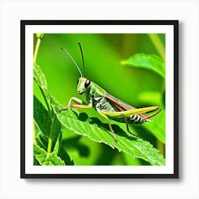 Grasshoppers Insects Jumping Green Legs Antennae Hopper Chirping Herbivores Garden Fields (4) Art Print