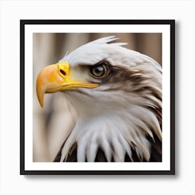 Bald Eagle Art Print