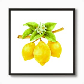 Citrus Freshness: Lemon Art Art Print