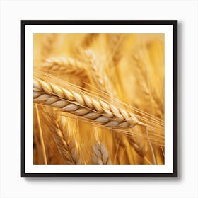 Wheat In The Field Art Print