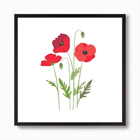 Poppies Art Print