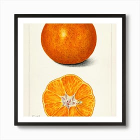 Tangerine Art Print