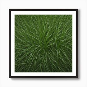 Grass Background 28 Art Print