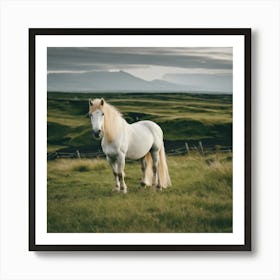 White Horse In The Field 1 Art Print