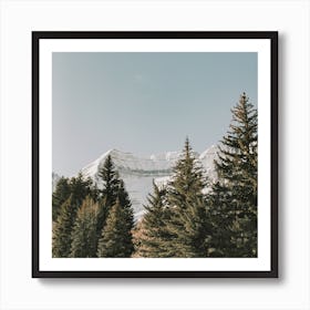 Pine Forest Mountain Art Print