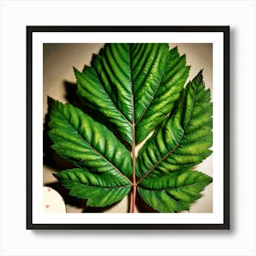 Ash leaf 1 Art Print