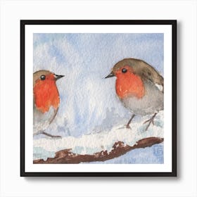 robin birds Art Print