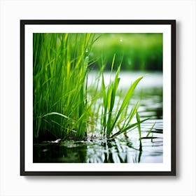 Grass Plant Reed Green Background Nature Closeup Garden Flora Growth Leaf Summer Spring (5) Art Print