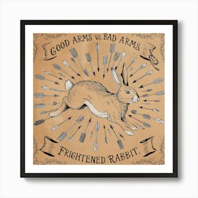 Good Arms vs. Bad Arms Frightened Rabbit Poster