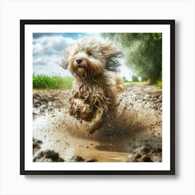 Dog Running In Mud 2 Art Print