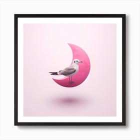 Seagull On A Pink Moon Art Print